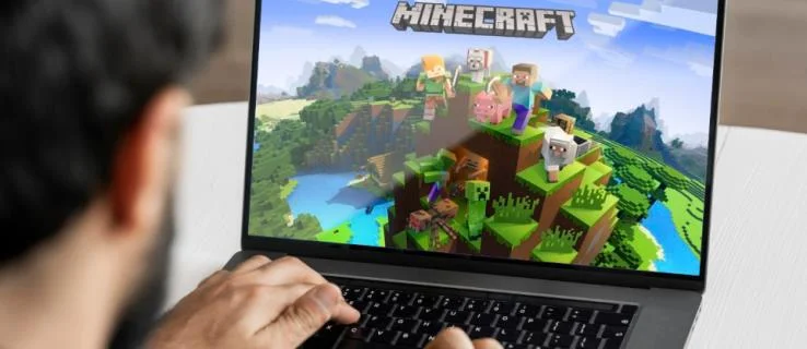 क्या आप देख सकते हैं कि Minecraft में ब्लॉक किसने रखा है?  नहीं!
