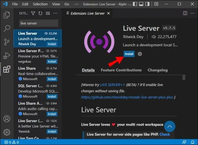 So öffnen Sie im Browser aus VS-Code