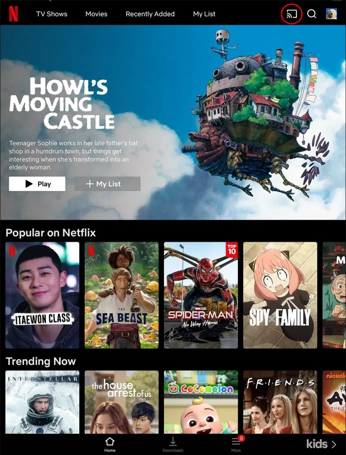 Bir iPad'den Chromecast Nasıl İzlenir