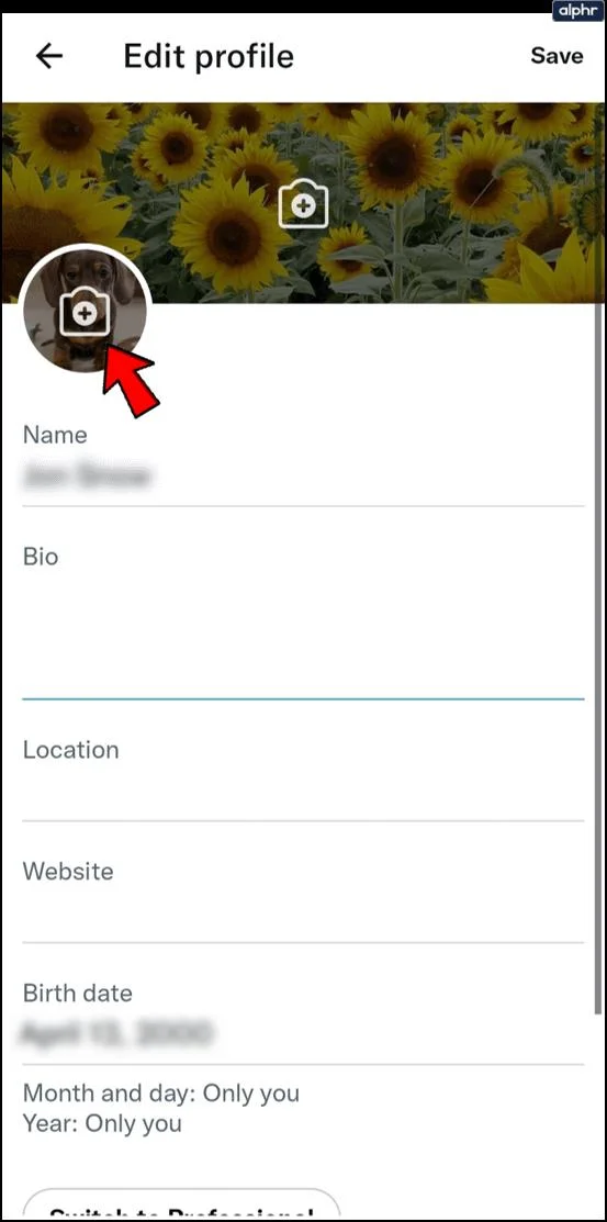 چگونه عکس پروفایل خود را در توییتر حذف کنیم