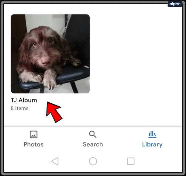 Cómo agregar texto en Google Photos