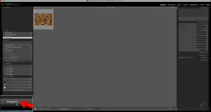 कैसे लाइटरूम में फोटो को बैच में एडिट करें