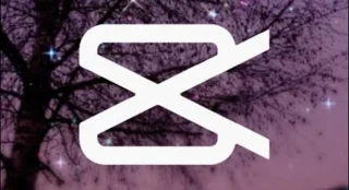 Cara Mengubah Rasio Aspek Di CapCut