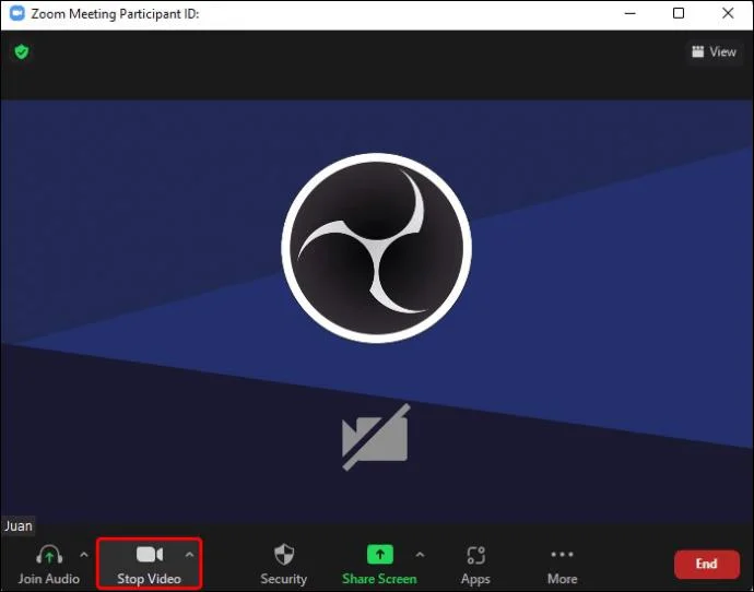 Jak wyświetlać zdjęcia profilowe zamiast wideo podczas rozmowy Zoom