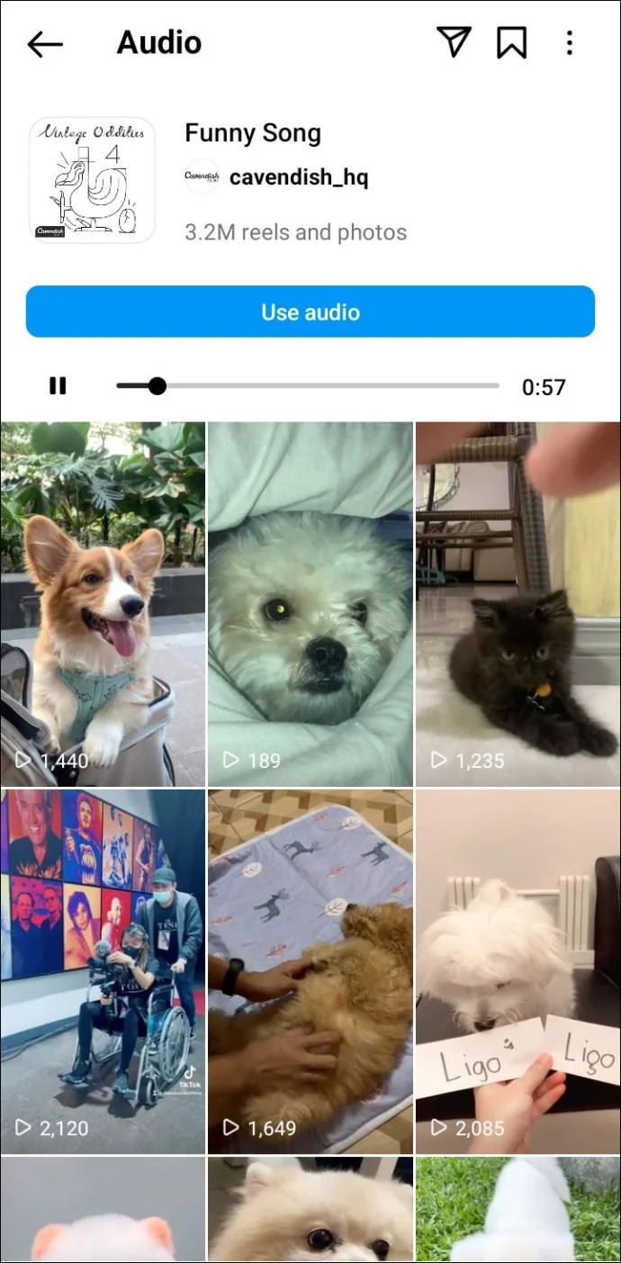 De beste Instagram Reels-nummers