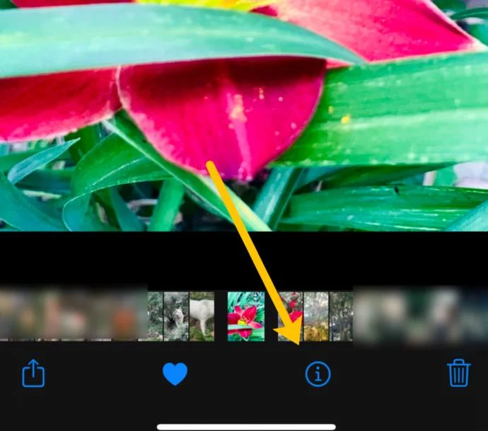Cara Menambahkan Stempel Tanggal/Waktu Ke Foto Di iPhone