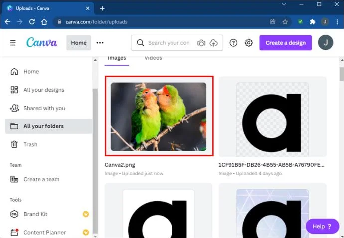 چگونه یک شکل را با یک تصویر در Canva پر کنیم
