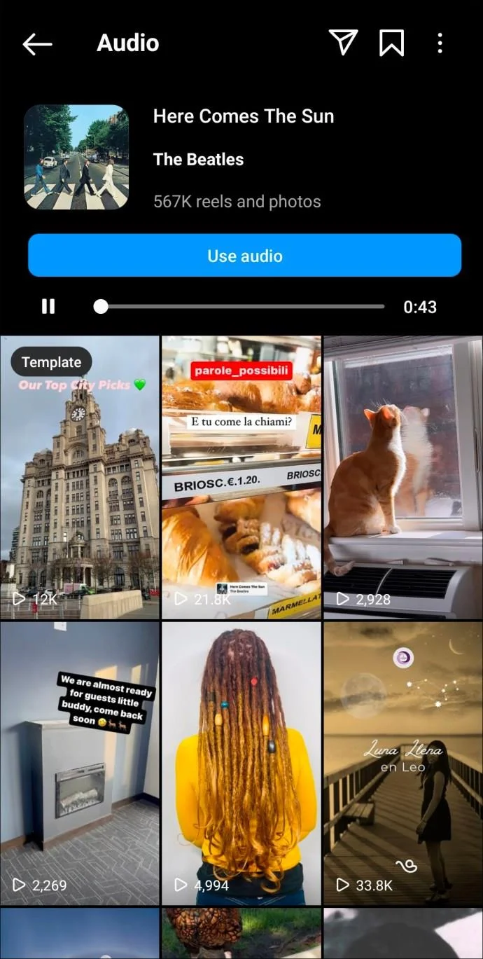 De beste Instagram Reels-nummers