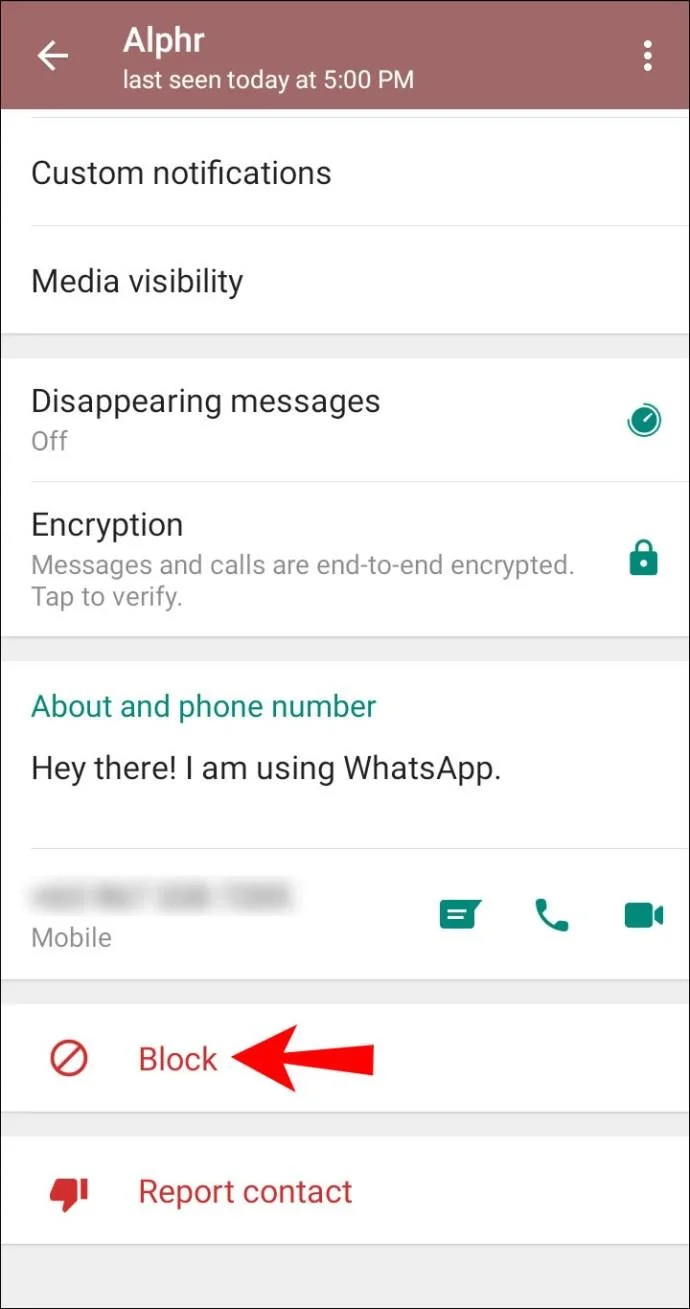 Cara Memadam Kenalan Dalam WhatsApp