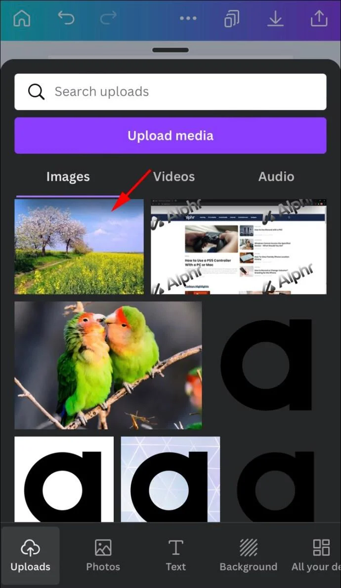 چگونه یک شکل را با یک تصویر در Canva پر کنیم