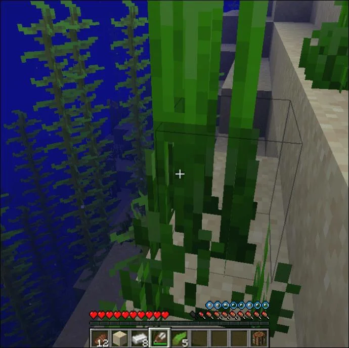 چگونه در Minecraft لاک پشت ها را پرورش دهیم