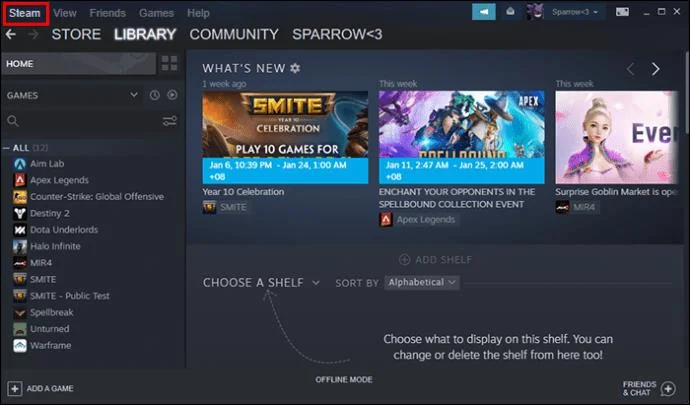 نحوه رفع خطای «نمی‌توان به شبکه Steam وصل شد»