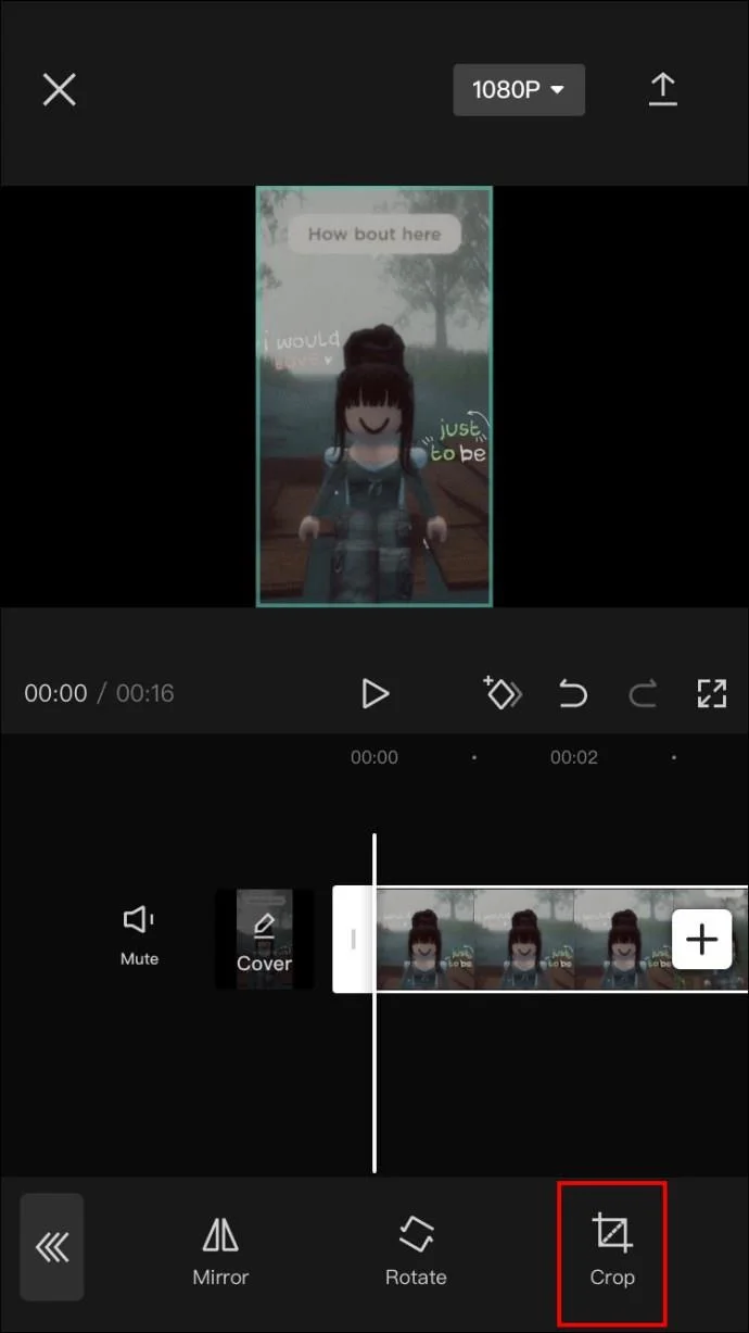 비디오 조정