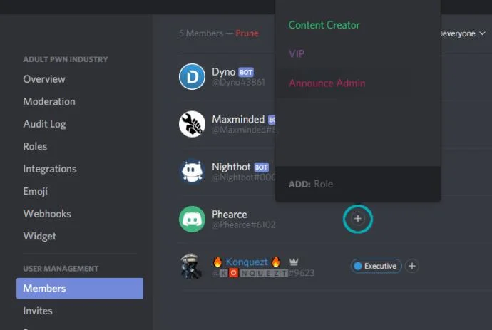 نحوه دسترسی ادمین به کاربر دیگری در Discord