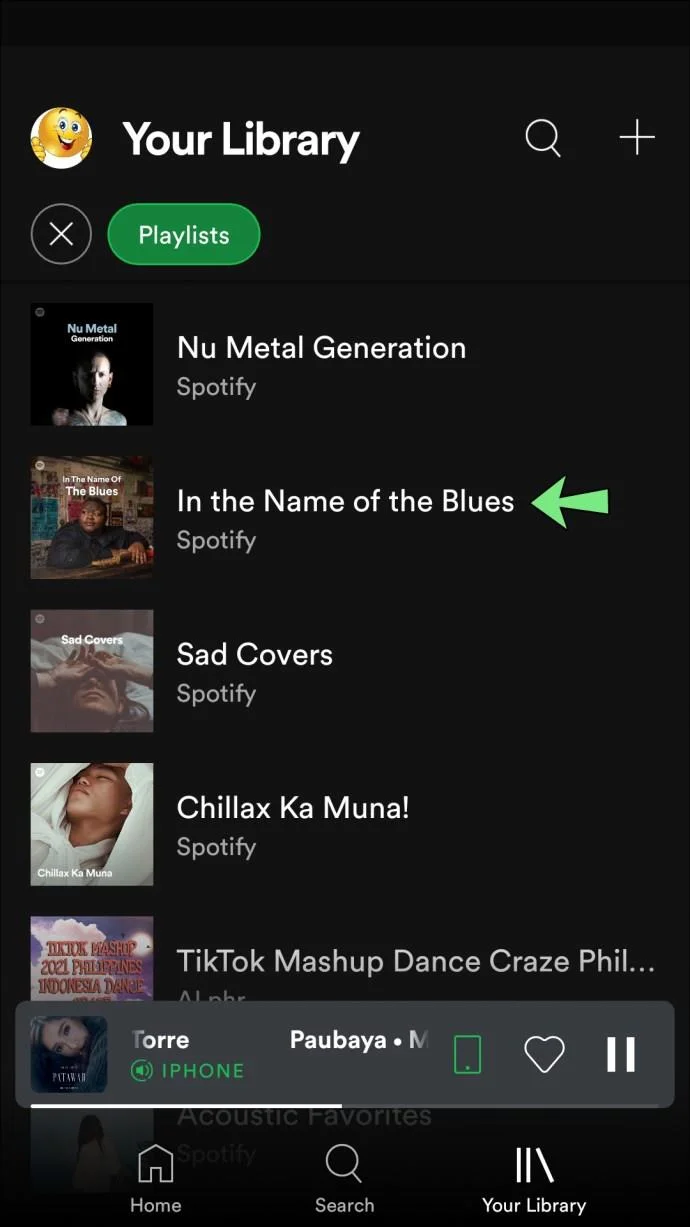 Kun je controleren wie je afspeellijst leuk vond in Spotify?