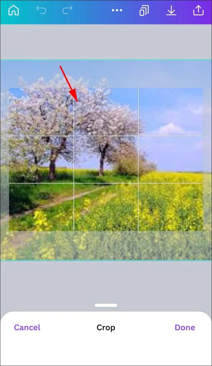 چگونه یک شکل را با یک تصویر در Canva پر کنیم