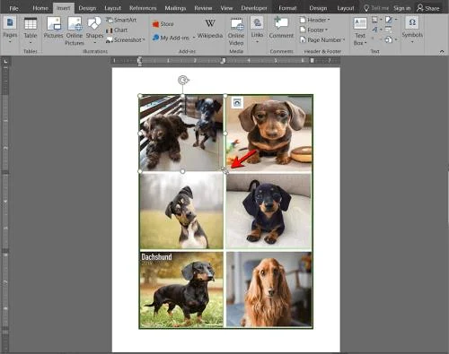 So erstellen Sie eine Fotocollage in Microsoft Word