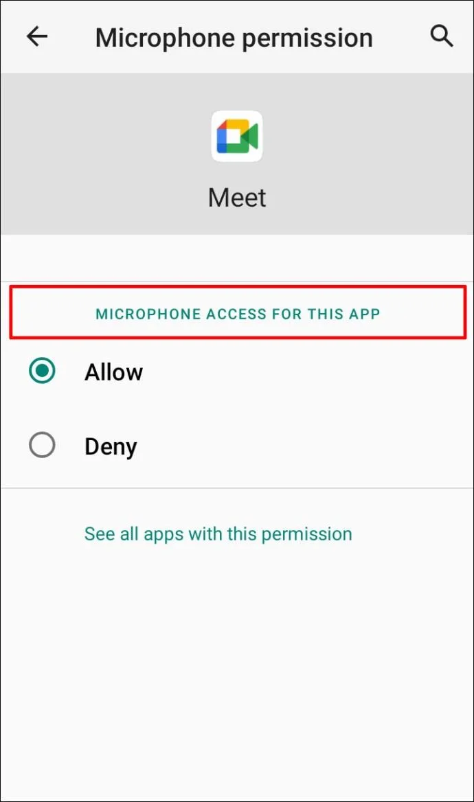Mikrofon Google Meet nie działa – poprawki dla komputerów PC i urządzeń mobilnych