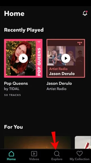 نحوه دانلود آهنگ از Tidal