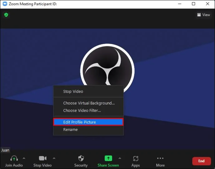 Jak wyświetlać zdjęcia profilowe zamiast wideo podczas rozmowy Zoom