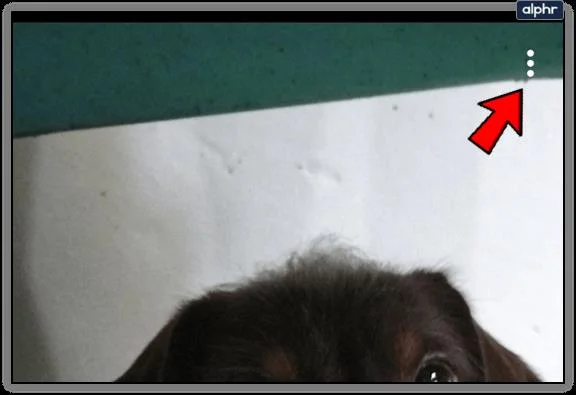 Jak wyeksportować wszystkie wspomnienia w Snapchacie