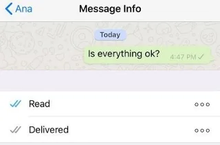 Waarom heeft mijn bericht maar één vinkje in WhatsApp?