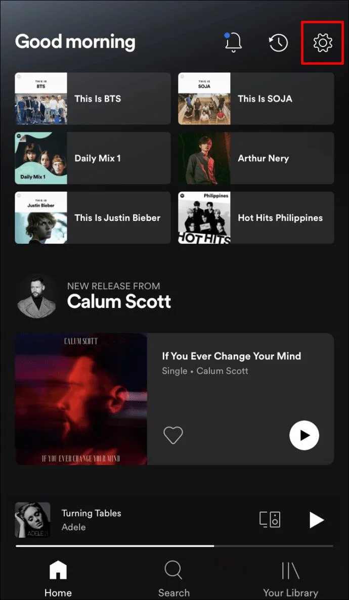 نحوه روشن یا خاموش کردن Canvas در Spotify