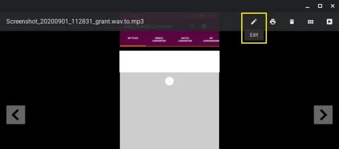 Cara Mengubah Ukuran Gambar [Dari Perangkat Apa Pun]