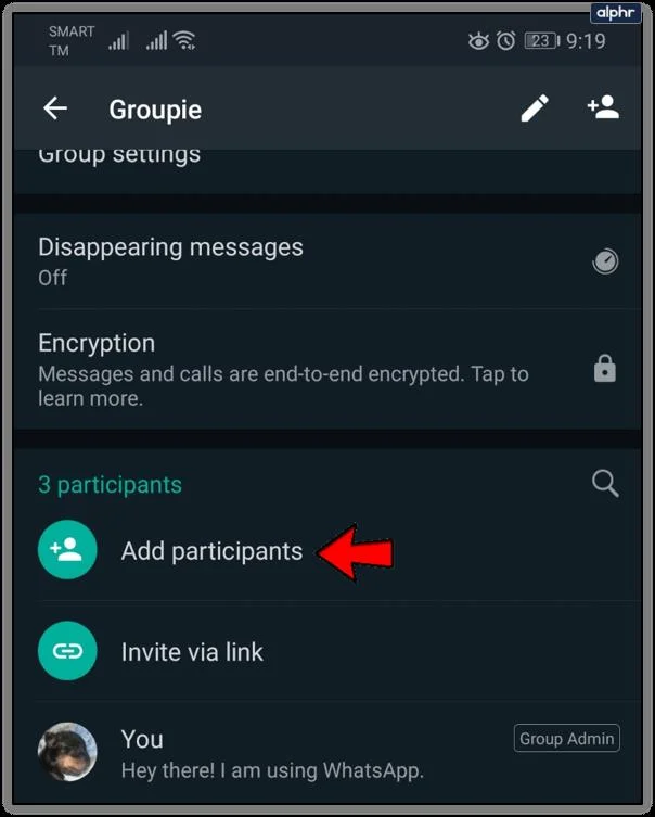 چگونه یک مخاطب بین المللی را به چت یا گروه WhatsApp اضافه کنیم