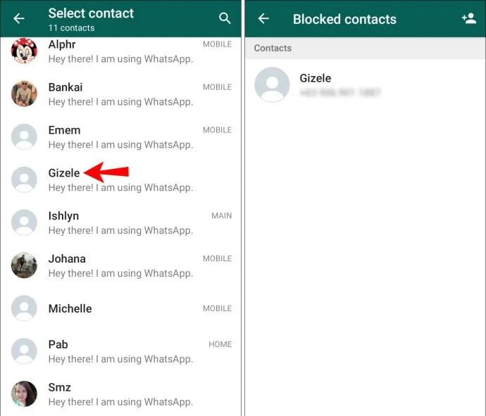 Cara Memadam Kenalan Dalam WhatsApp