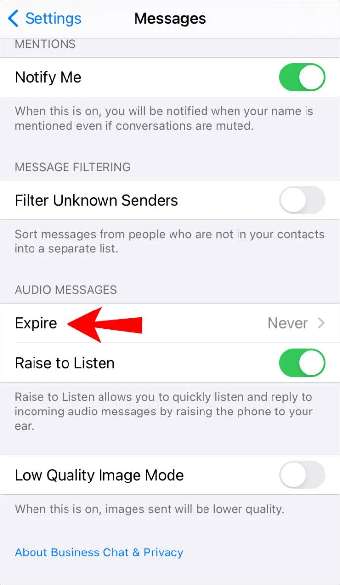 نحوه ارسال پیام صوتی در IMessage در آیفون