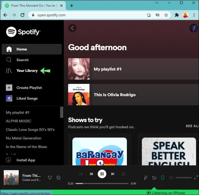 Kun je controleren wie je afspeellijst leuk vond in Spotify?