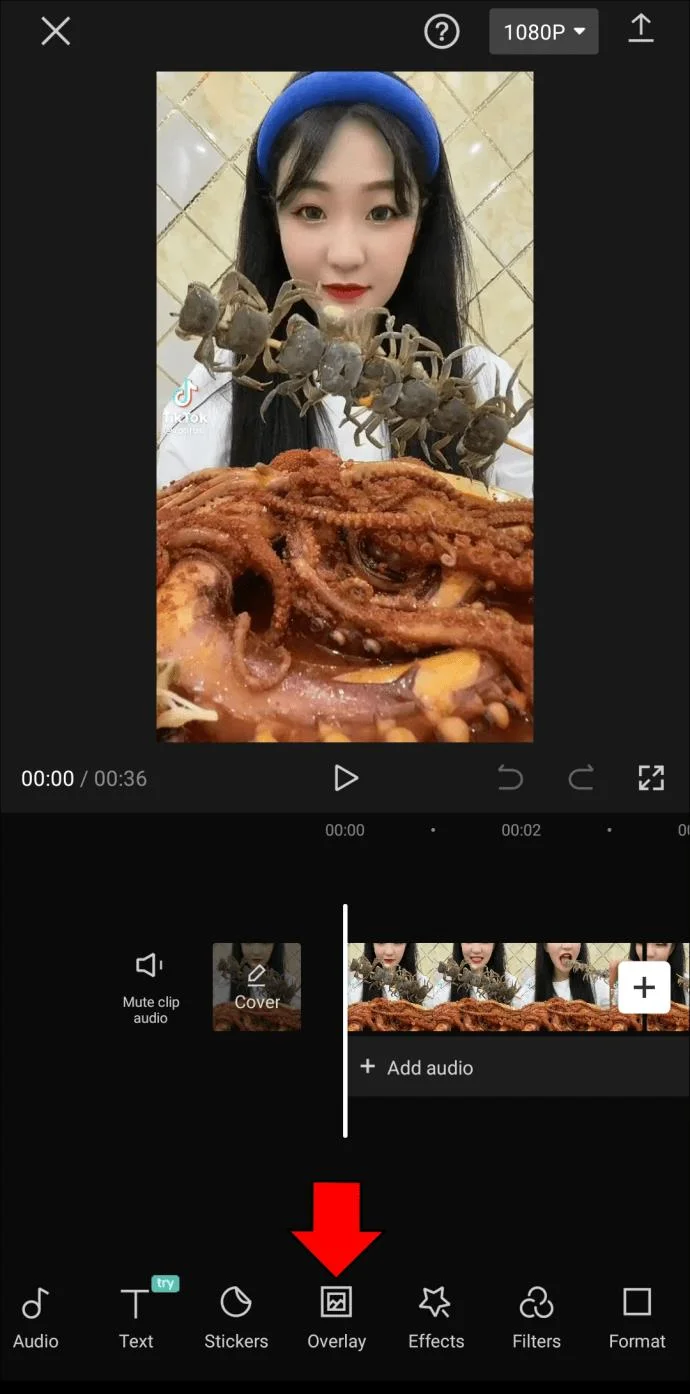 CapCut에서 사진 또는 비디오에 흐림 효과를 추가하는 방법