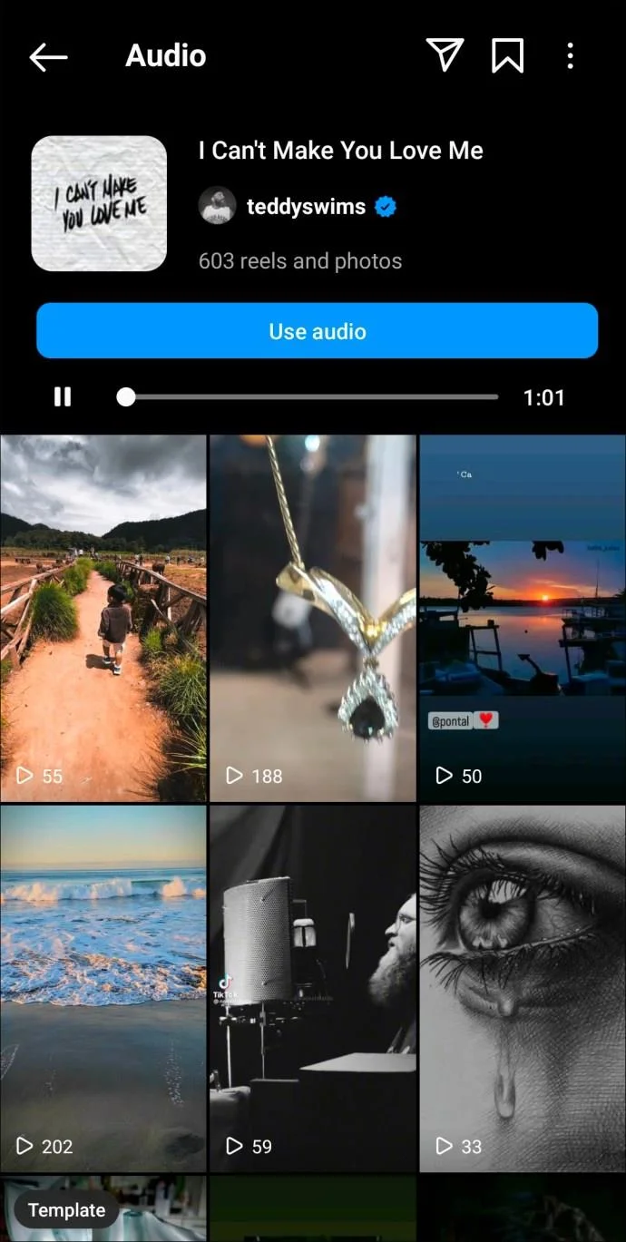 De beste Instagram Reels-nummers