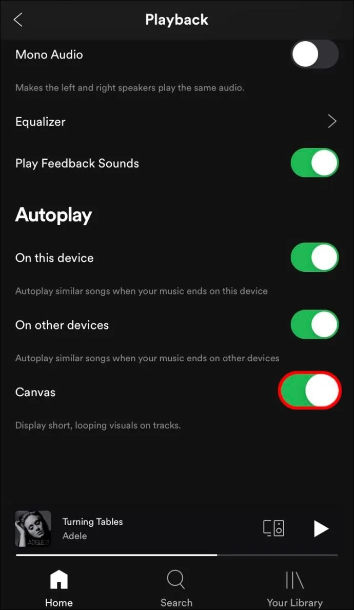 نحوه روشن یا خاموش کردن Canvas در Spotify