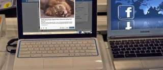 نحوه غیرفعال کردن صفحه لمسی Chromebook