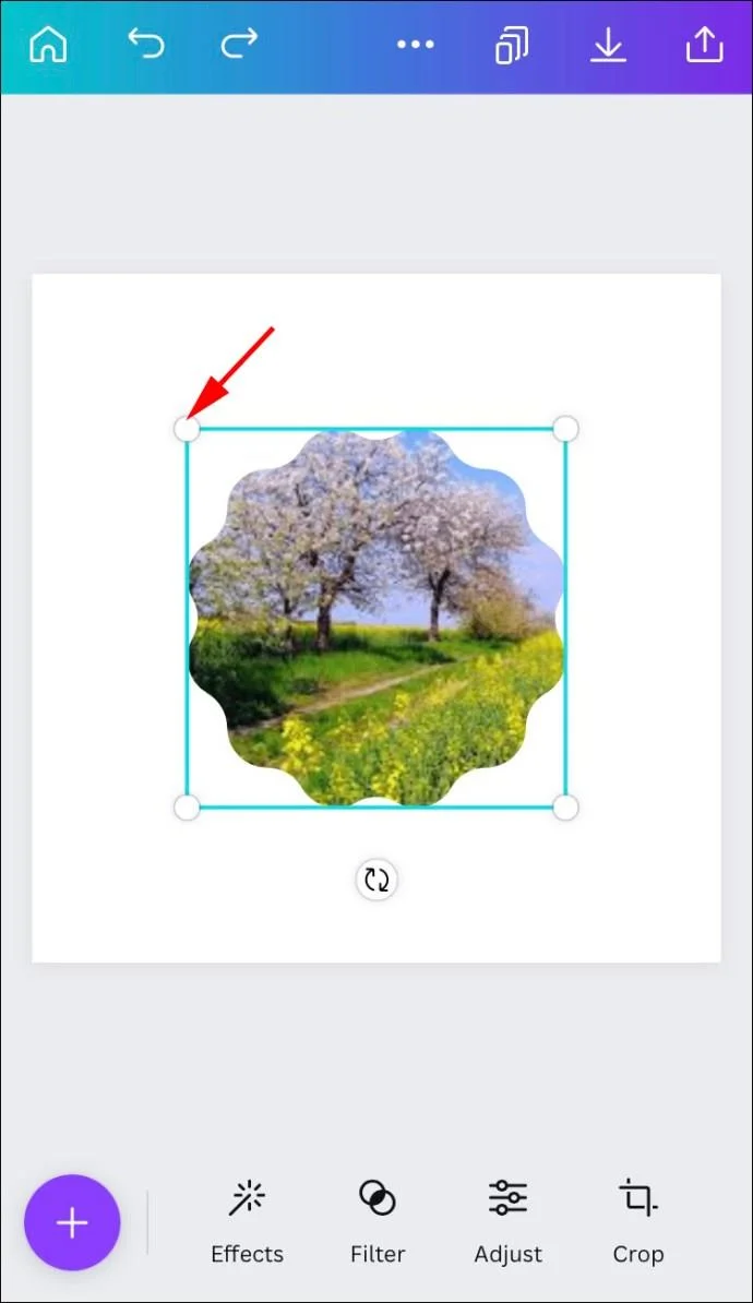 چگونه یک شکل را با یک تصویر در Canva پر کنیم