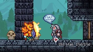 Berapa Banyak NPC yang Ada Di Terraria