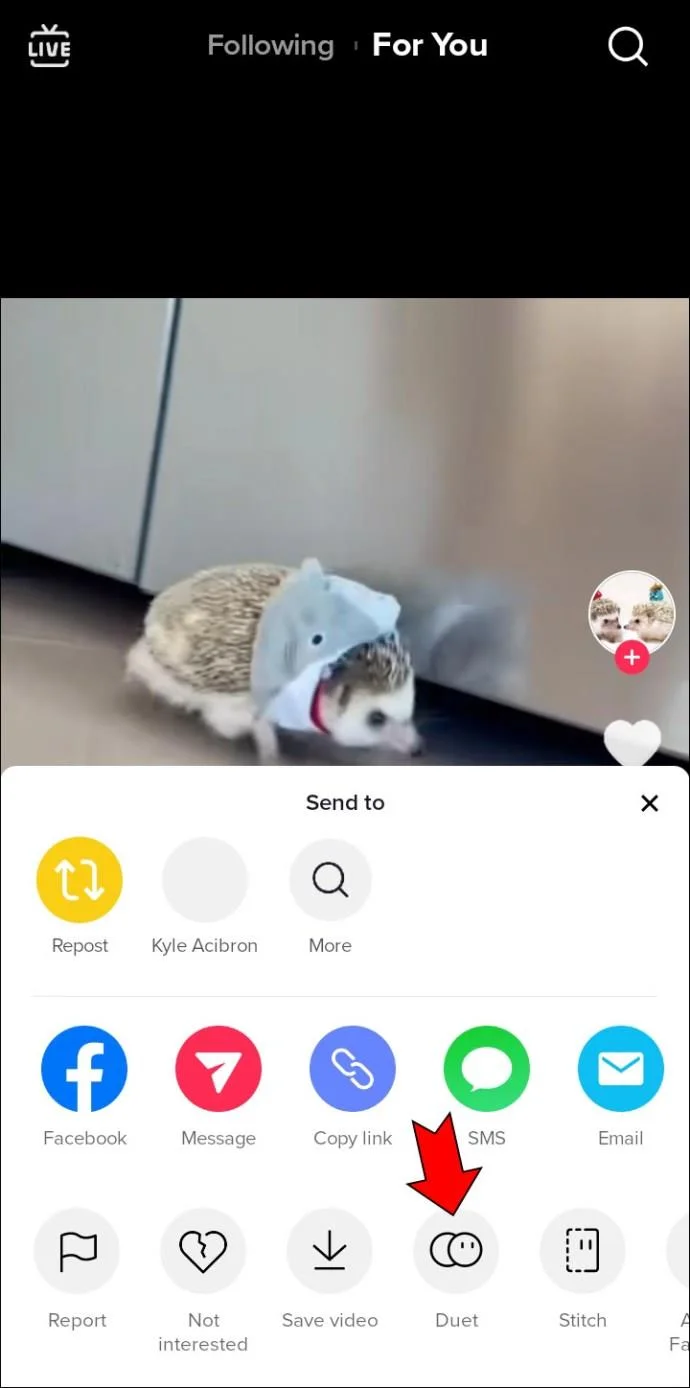 TikTok-geluid werkt niet - oplossingen voor Android en iPhone