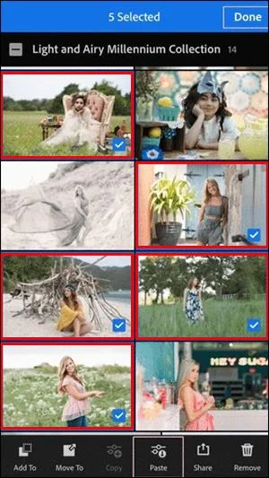 कैसे लाइटरूम में फोटो को बैच में एडिट करें