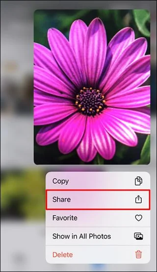 نحوه باز کردن یک فایل HEIC