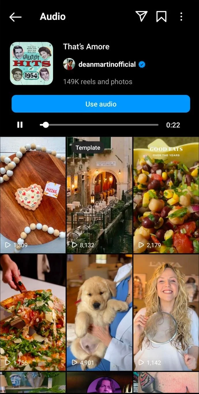 De beste Instagram Reels-nummers
