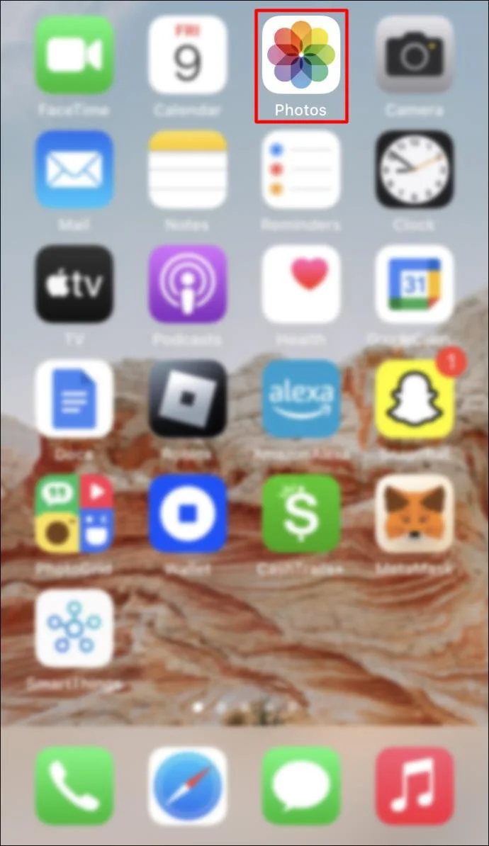 iPhone 갤러리