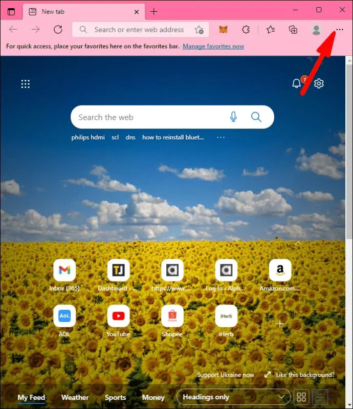 Cara Memperbaiki Kesalahan "Penyimpanan Dalam Browser Anda Untuk MEGA Penuh"