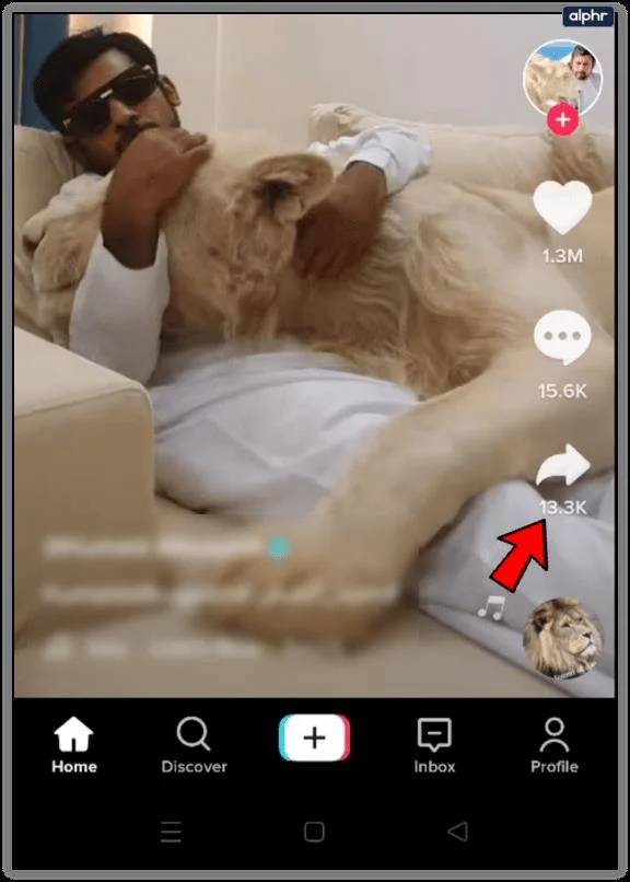 چگونه یک ویدیو را در TikTok مورد علاقه یا لایک کنیم