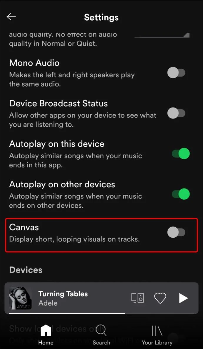 نحوه روشن یا خاموش کردن Canvas در Spotify