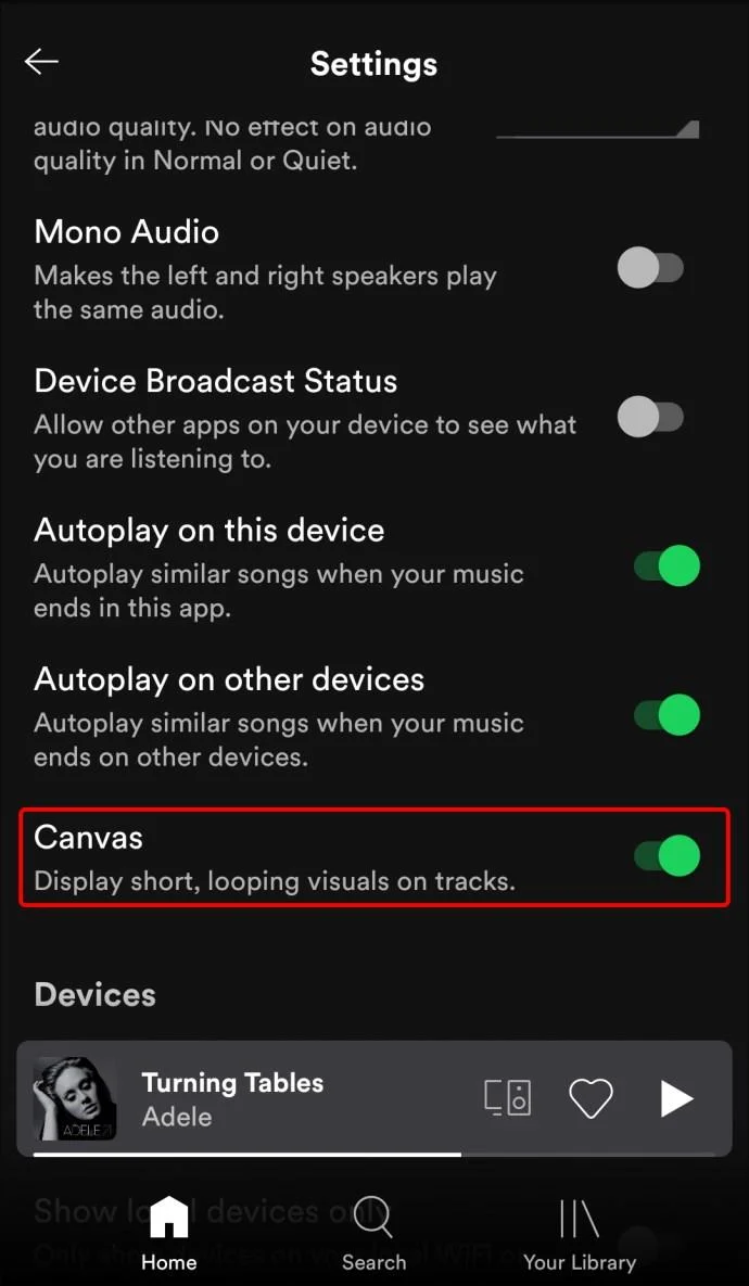 نحوه روشن یا خاموش کردن Canvas در Spotify