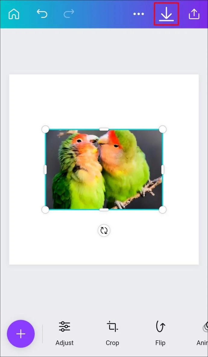 چگونه یک شکل را با یک تصویر در Canva پر کنیم