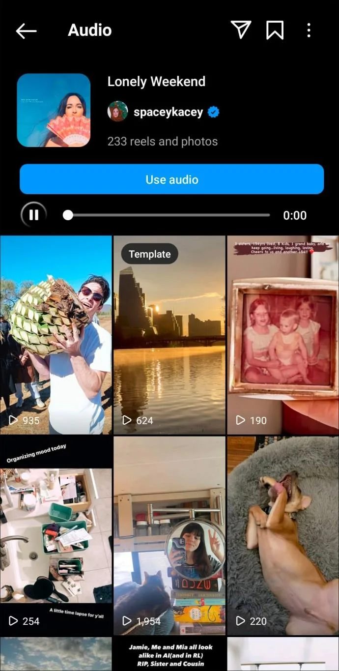 De beste Instagram Reels-nummers