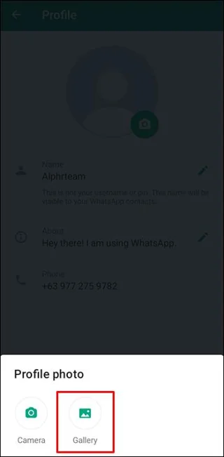 نحوه رفع عدم نمایش عکس نمایه واتساپ